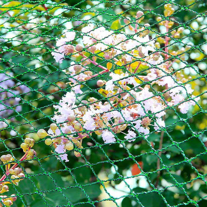 Anti-Bird Guard Tora Baxçeyê Plant Nets