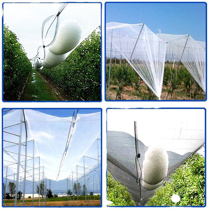 Fruit Tree Plastic Tetting Hail Protection Anti-Hail Net